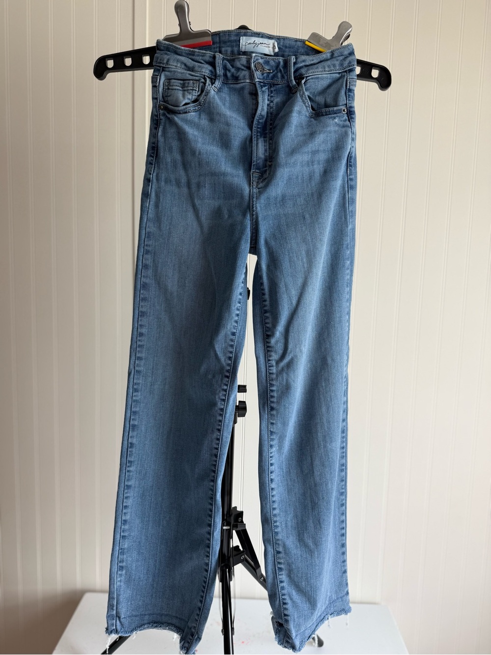 Carly Jean Los Angeles Laurel Wide Leg Size 3 Classic Raw Hem Denim